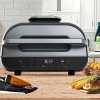 Indoor Electric Grill
