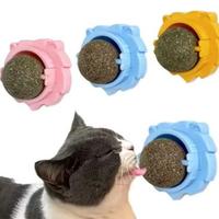 Cat Catnip Wall Ball